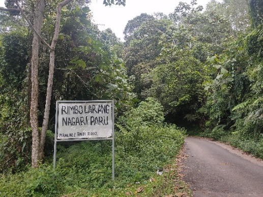 Rimbo Larangan Nagari Paru 